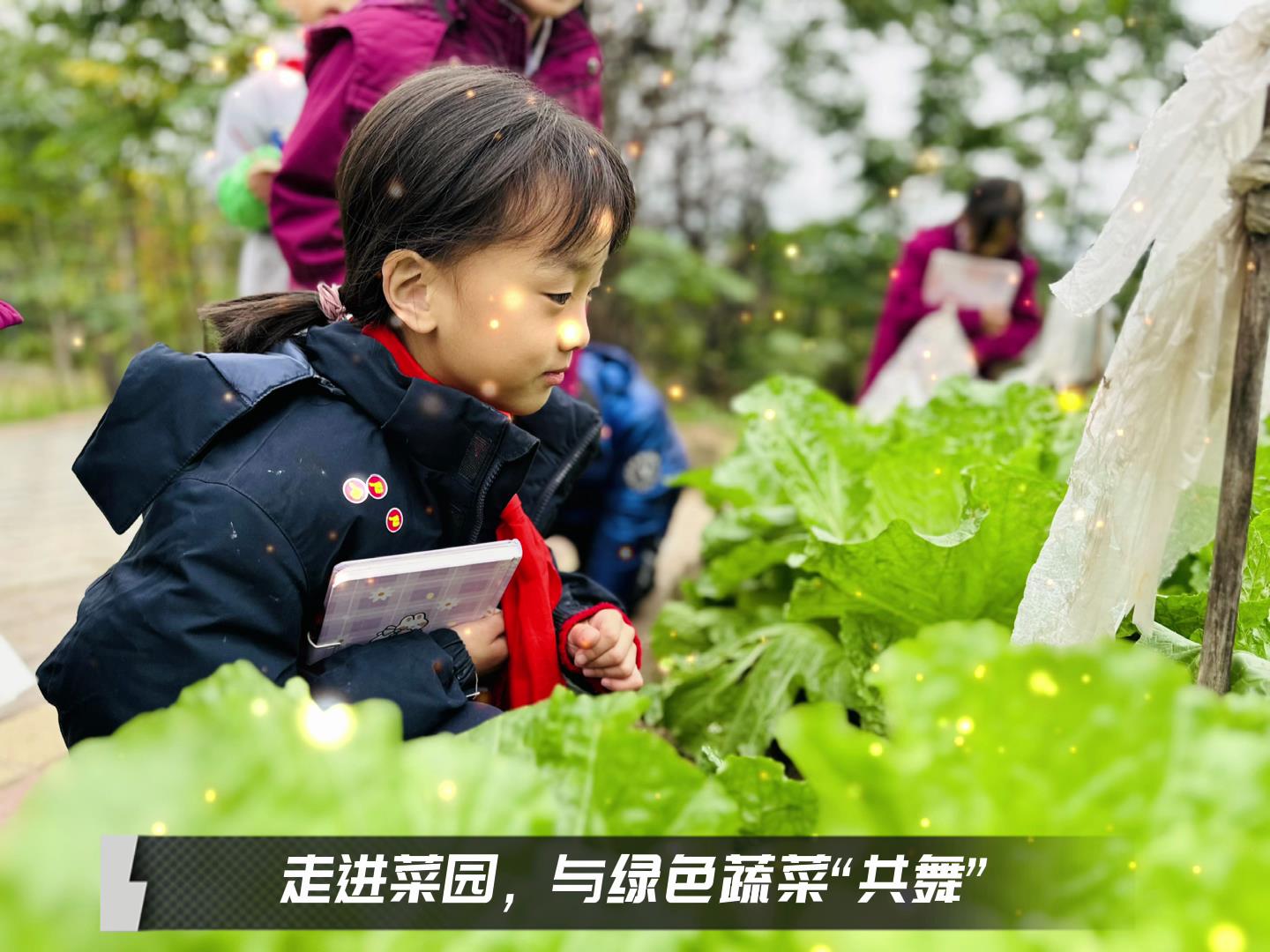 #美好學(xué)校|留校時光，走出教室，與綠色蔬菜共舞
