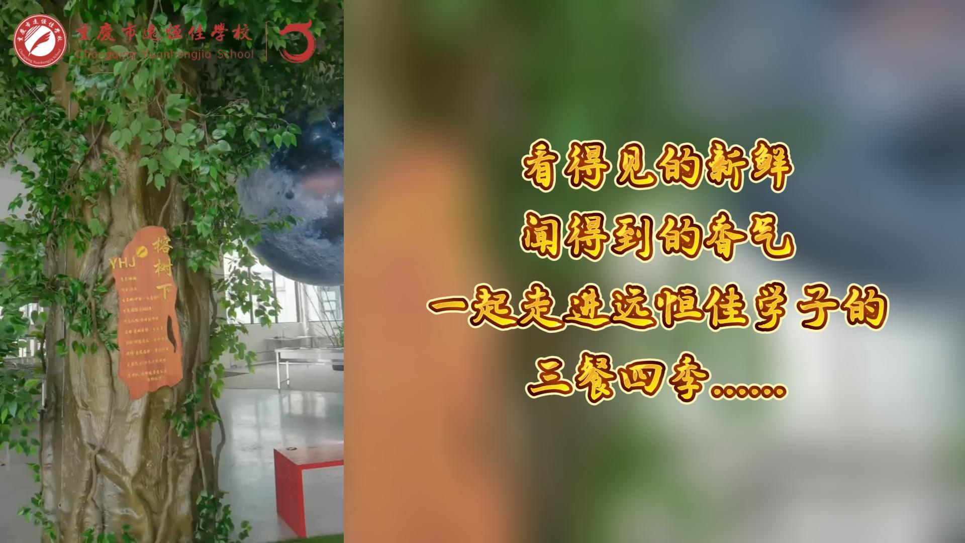 #美好學(xué)校|看得見的新鮮，聞得到的香味，一起走進(jìn)遠(yuǎn)恒佳學(xué)子的三餐四季!